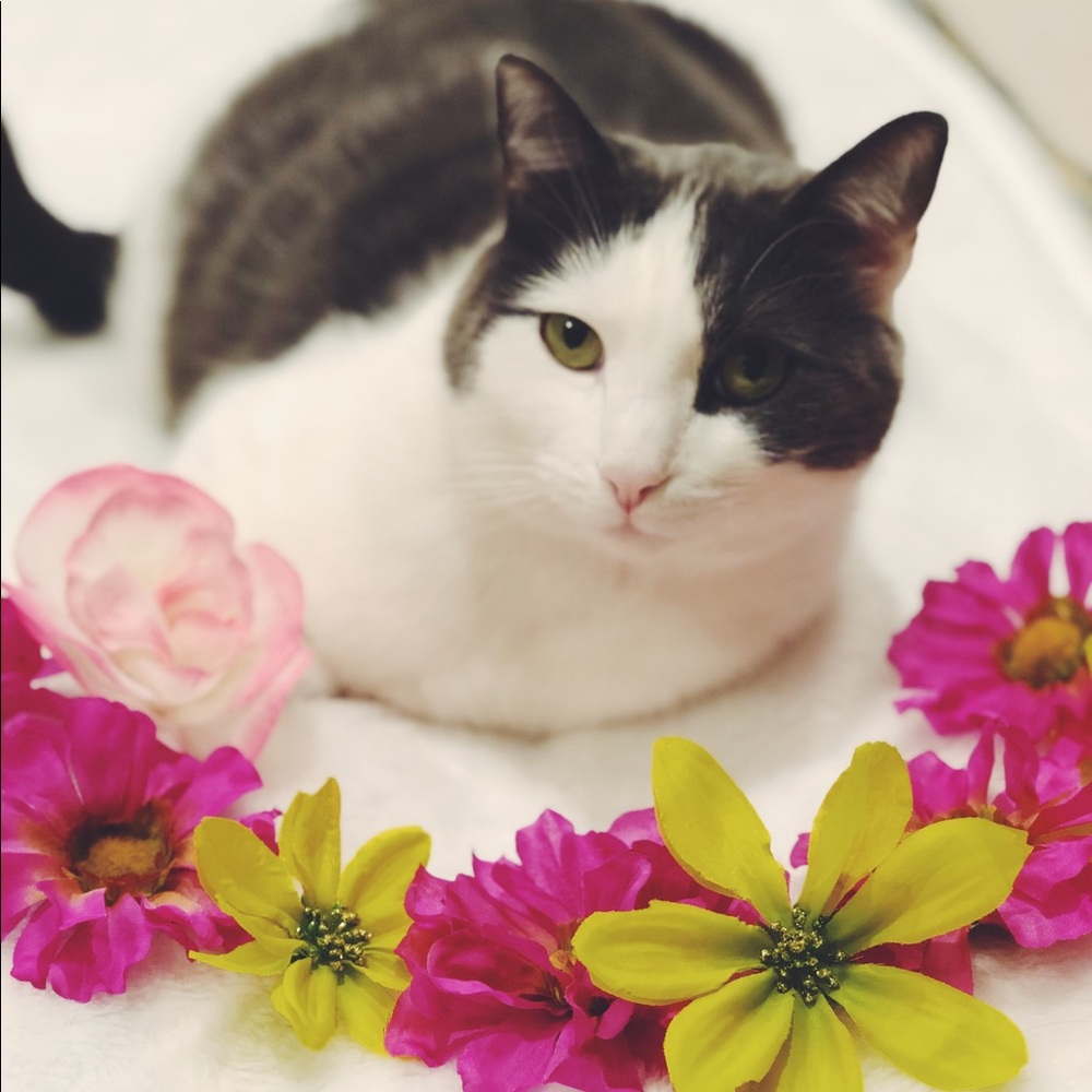 Welcome to my closet! 😻